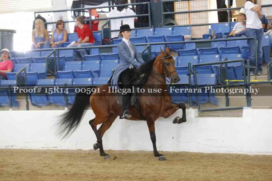 Proof 15R14_00591