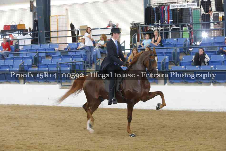 Proof 15R14_00592
