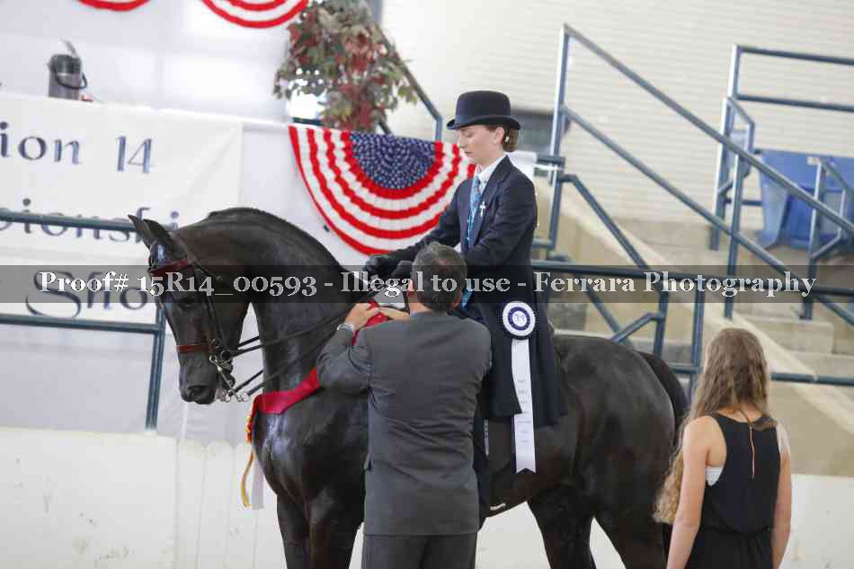 Proof 15R14_00593