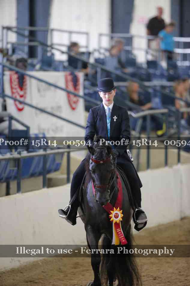 Proof 15R14_00594
