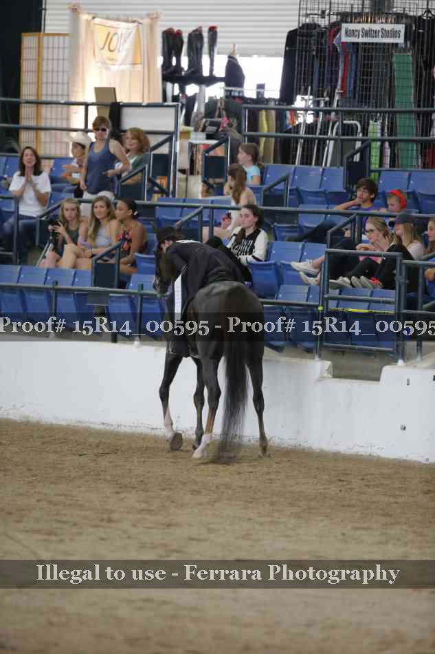 Proof 15R14_00595