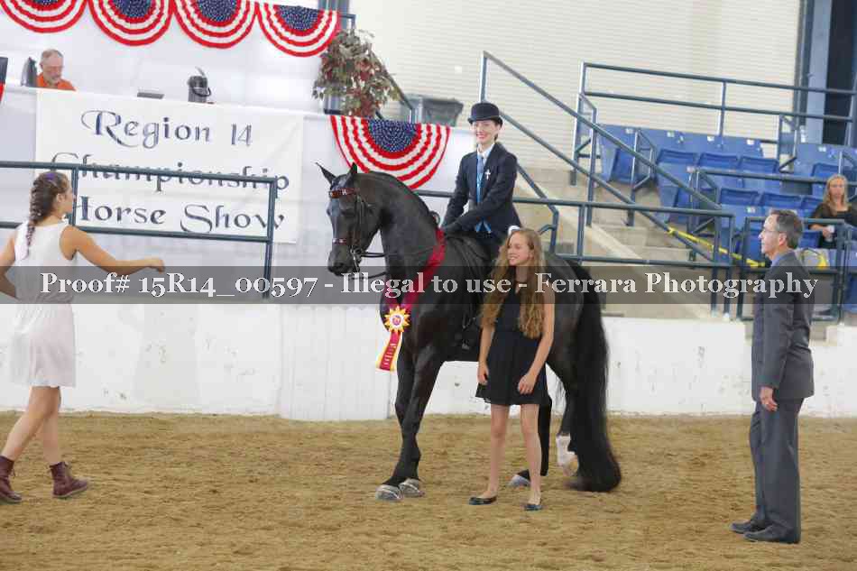 Proof 15R14_00597