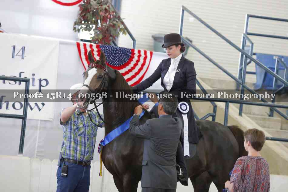 Proof 15R14_00598