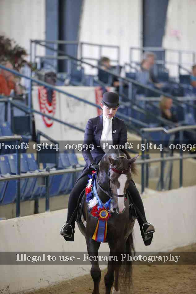 Proof 15R14_00599
