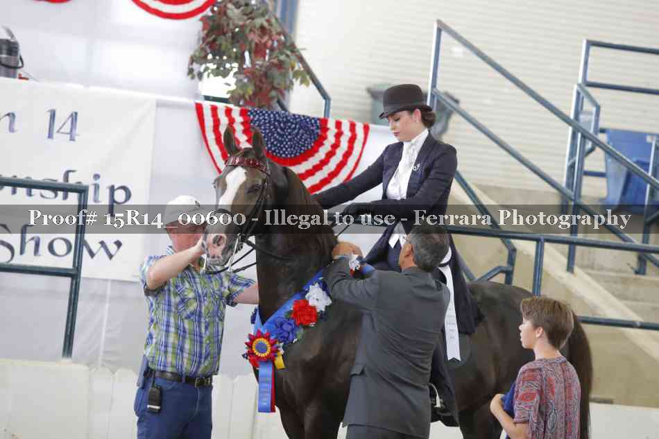 Proof 15R14_00600