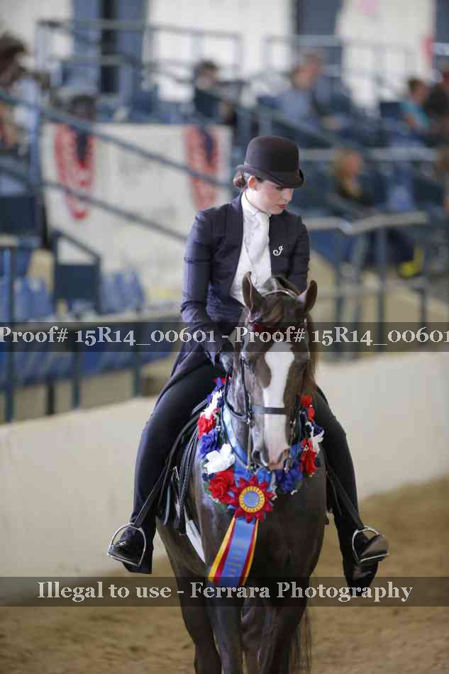 Proof 15R14_00601