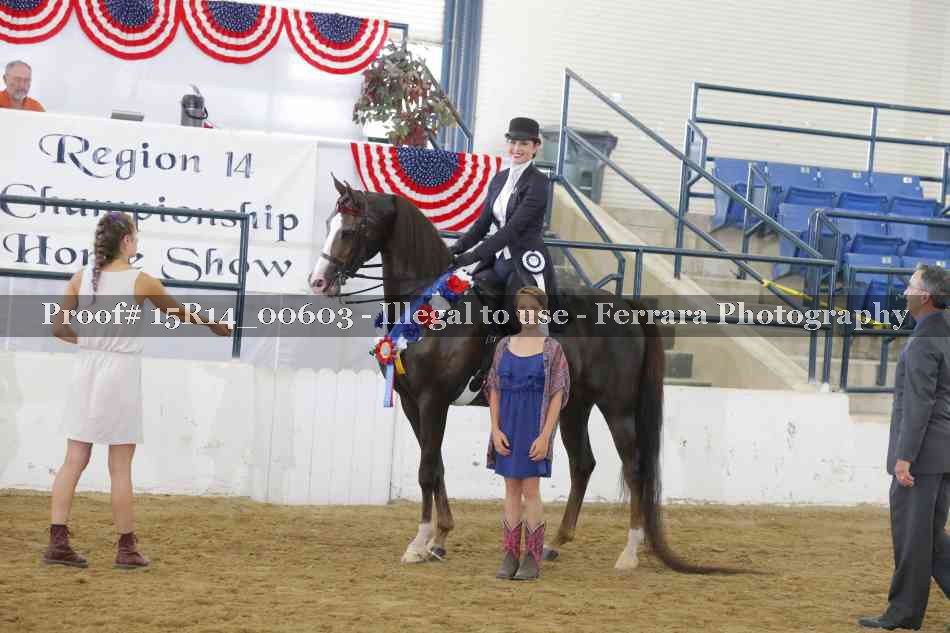 Proof 15R14_00603