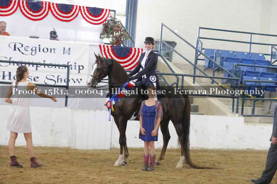 Proof 15R14_00604