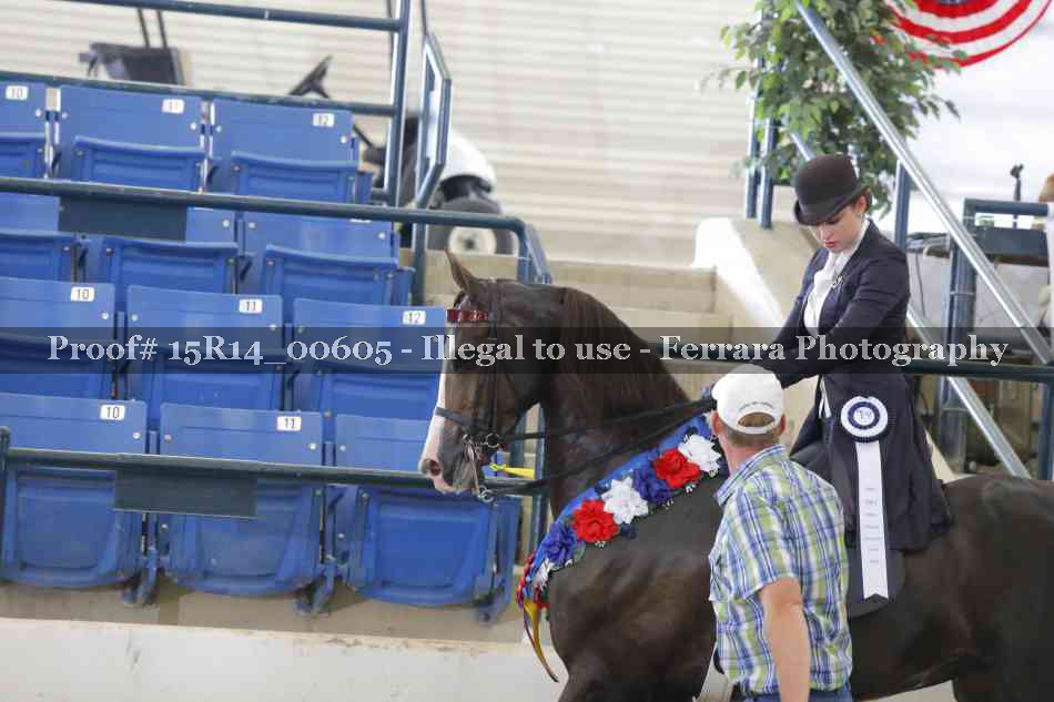 Proof 15R14_00605