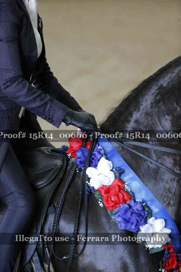 Proof 15R14_00606