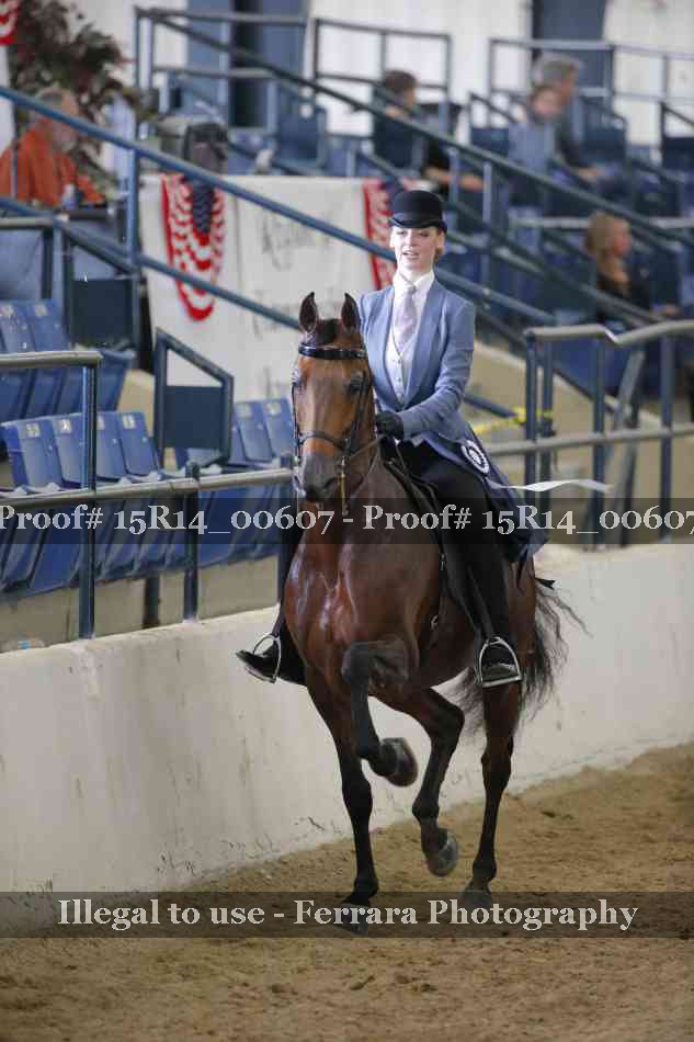 Proof 15R14_00607