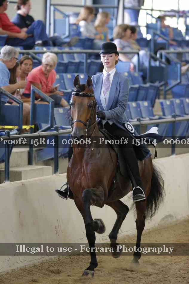 Proof 15R14_00608