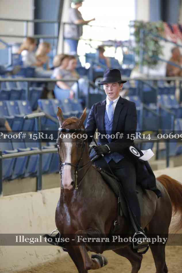 Proof 15R14_00609