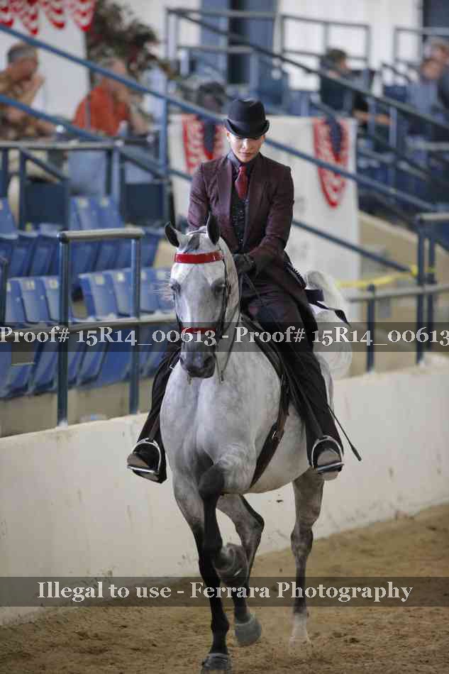Proof 15R14_00613
