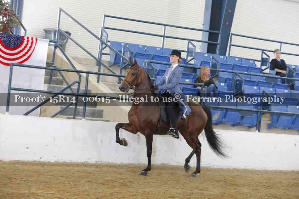 Proof 15R14_00615