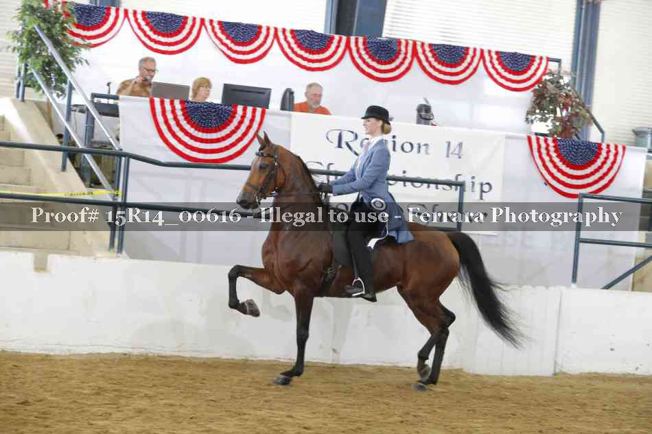Proof 15R14_00616