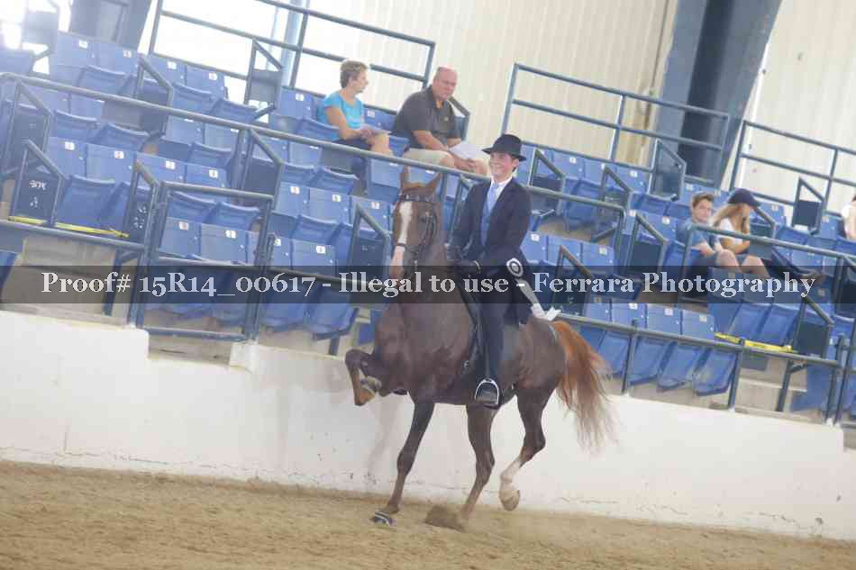 Proof 15R14_00617