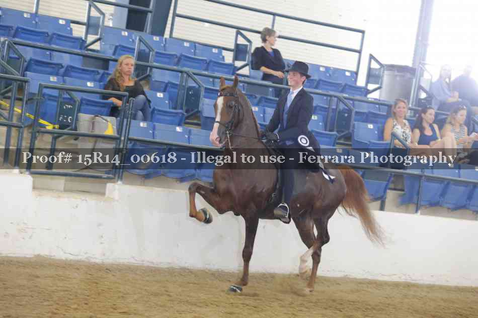 Proof 15R14_00618