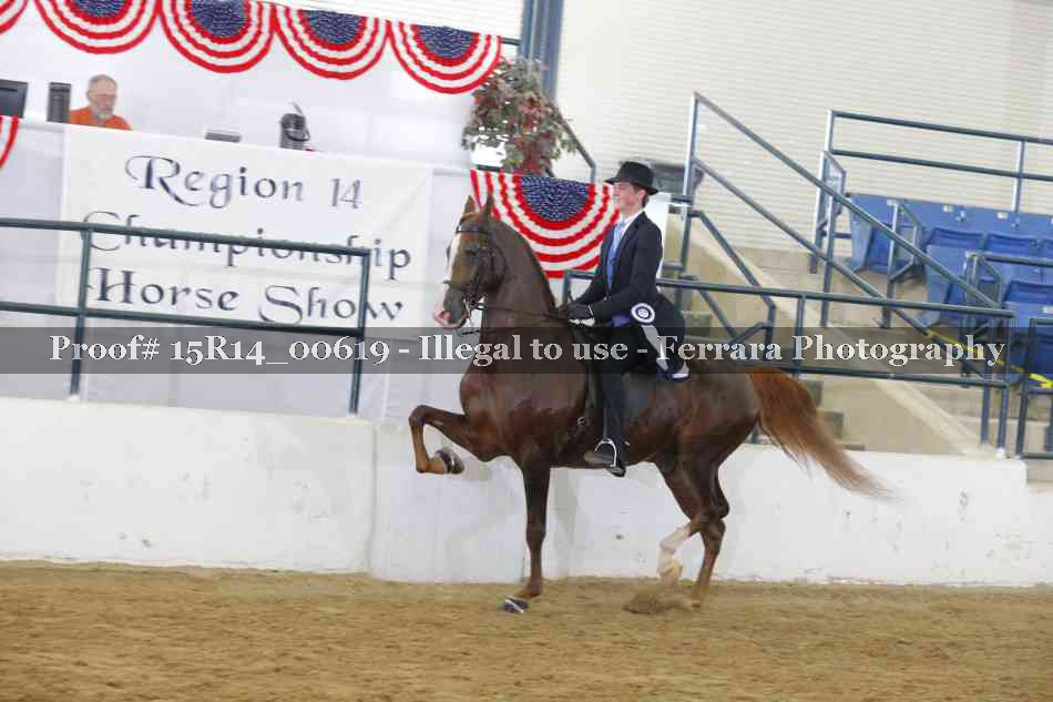Proof 15R14_00619