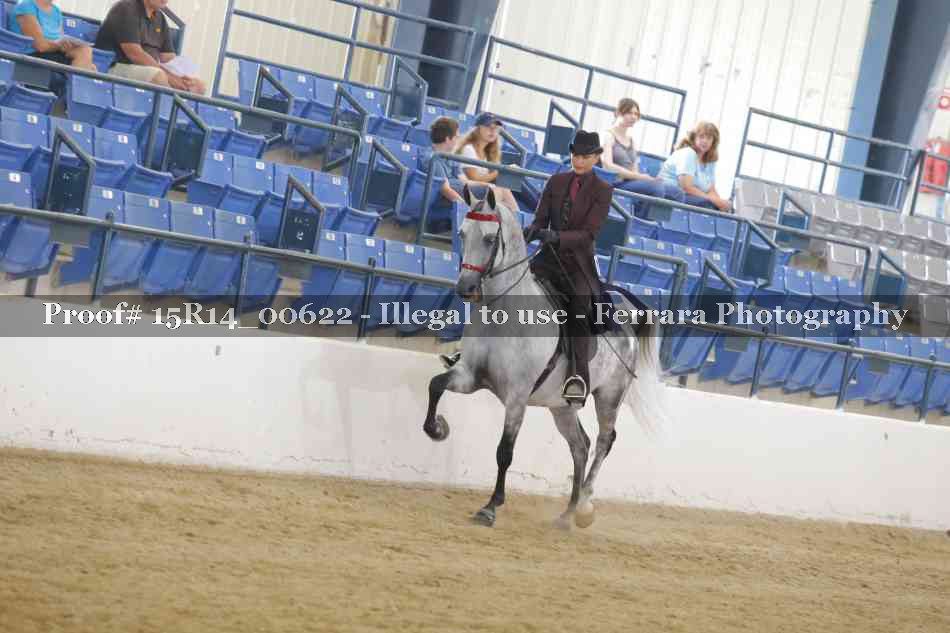 Proof 15R14_00622