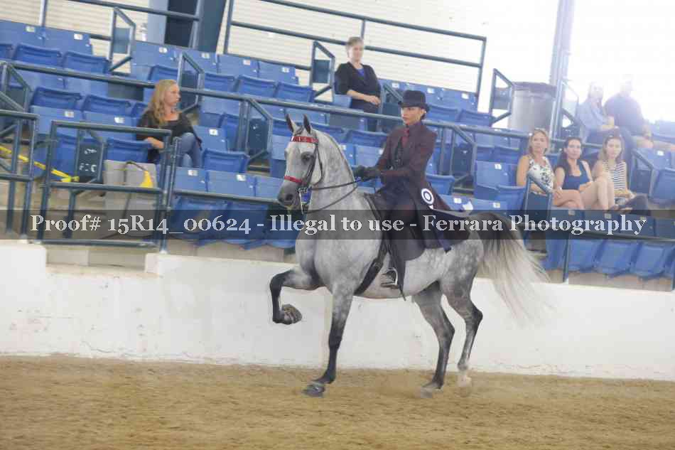 Proof 15R14_00624