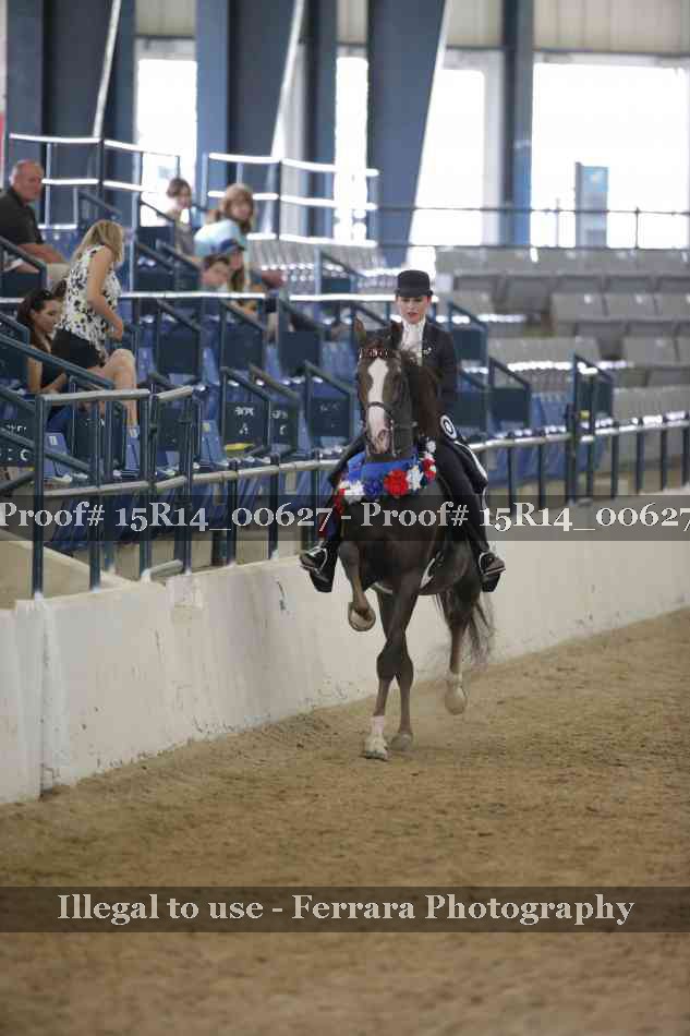 Proof 15R14_00627