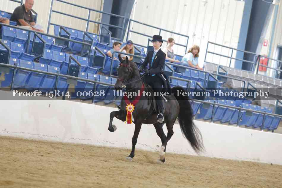Proof 15R14_00628