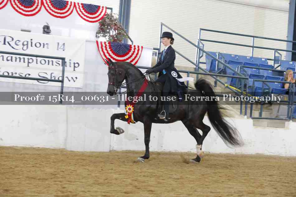 Proof 15R14_00631