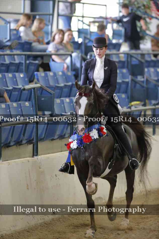 Proof 15R14_00632