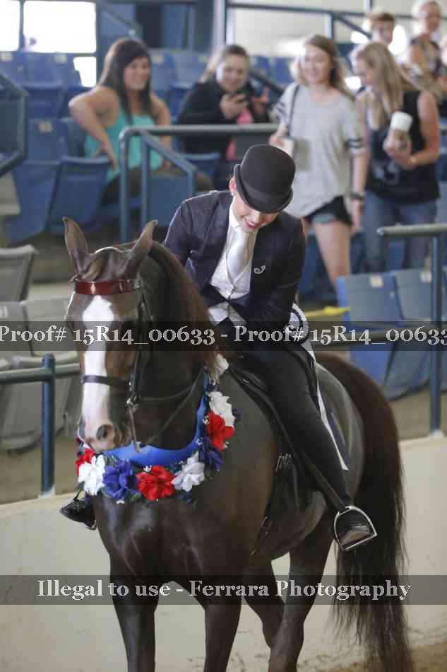 Proof 15R14_00633