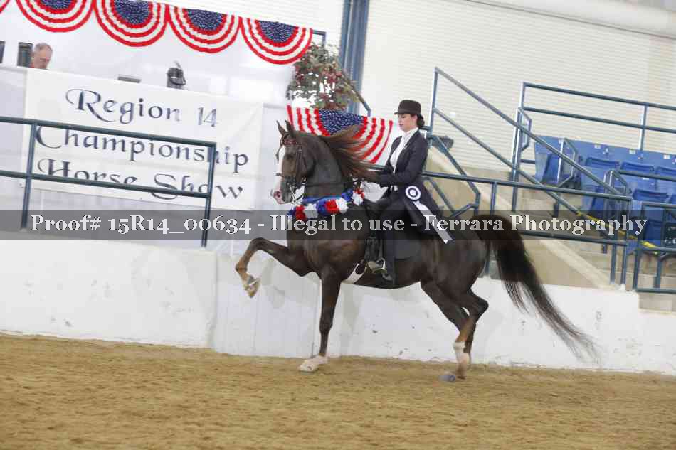 Proof 15R14_00634