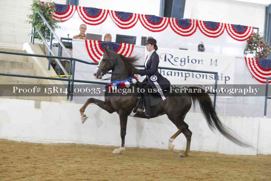 Proof 15R14_00635