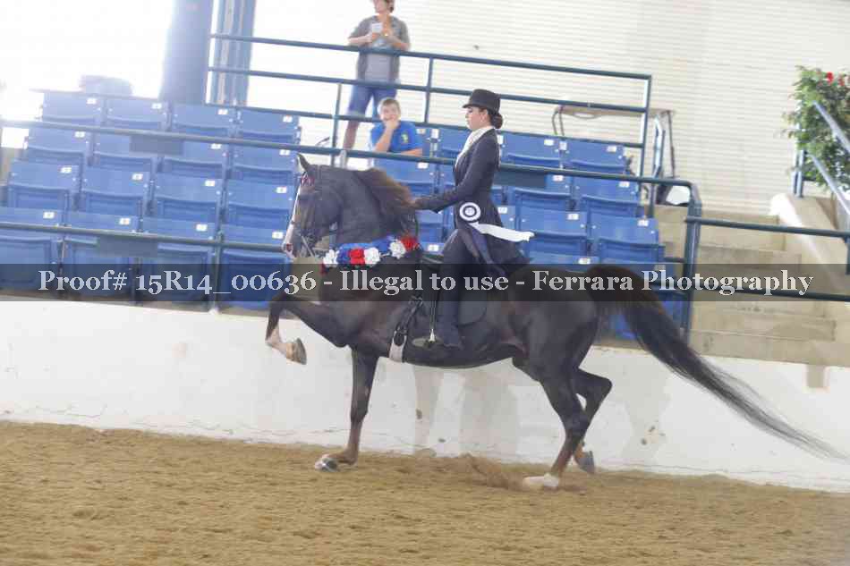 Proof 15R14_00636