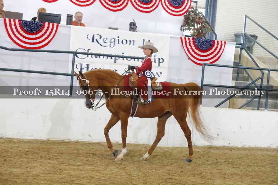 Proof 15R14_00675