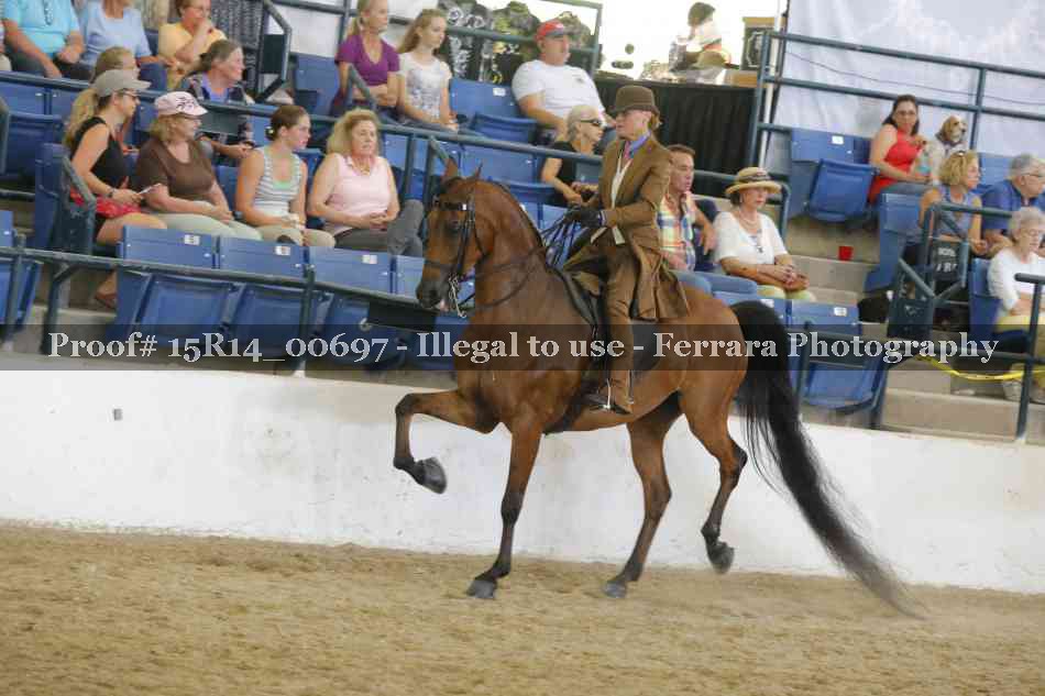 Proof 15R14_00697