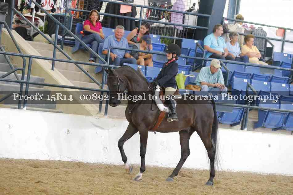 Proof 15R14_00892