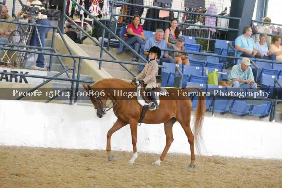 Proof 15R14_00896