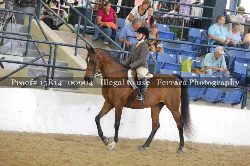 Proof 15R14_00904