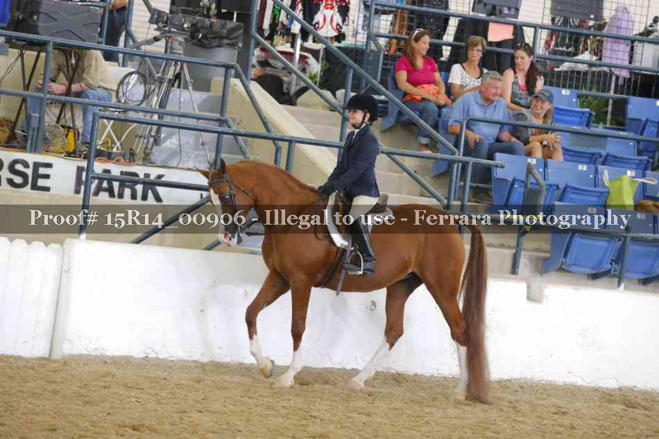 Proof 15R14_00906