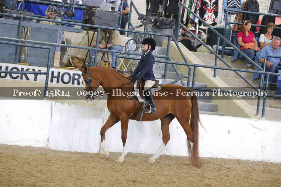 Proof 15R14_00907