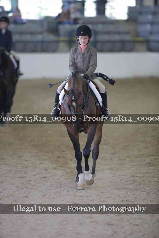 Proof 15R14_00908