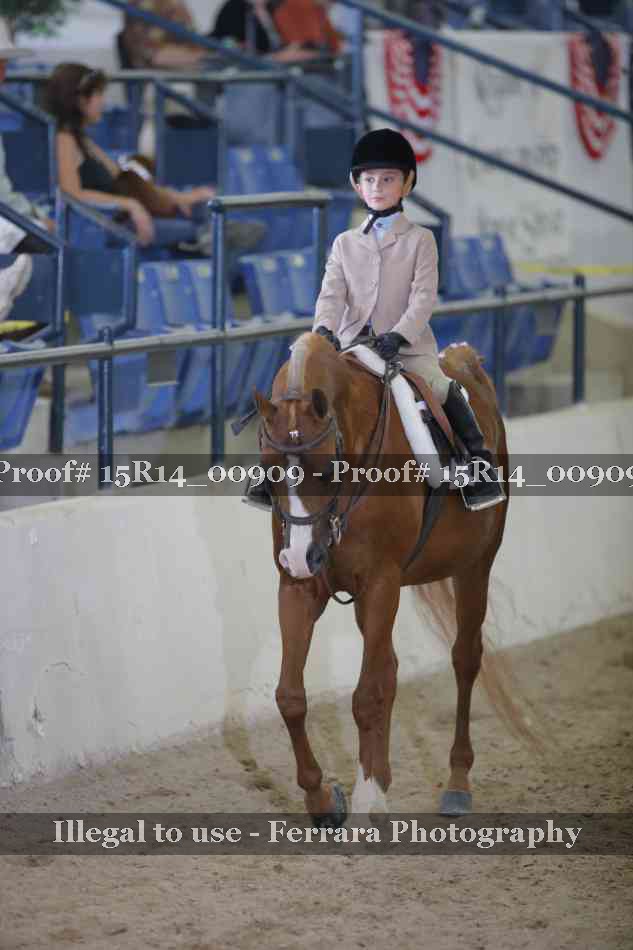 Proof 15R14_00909