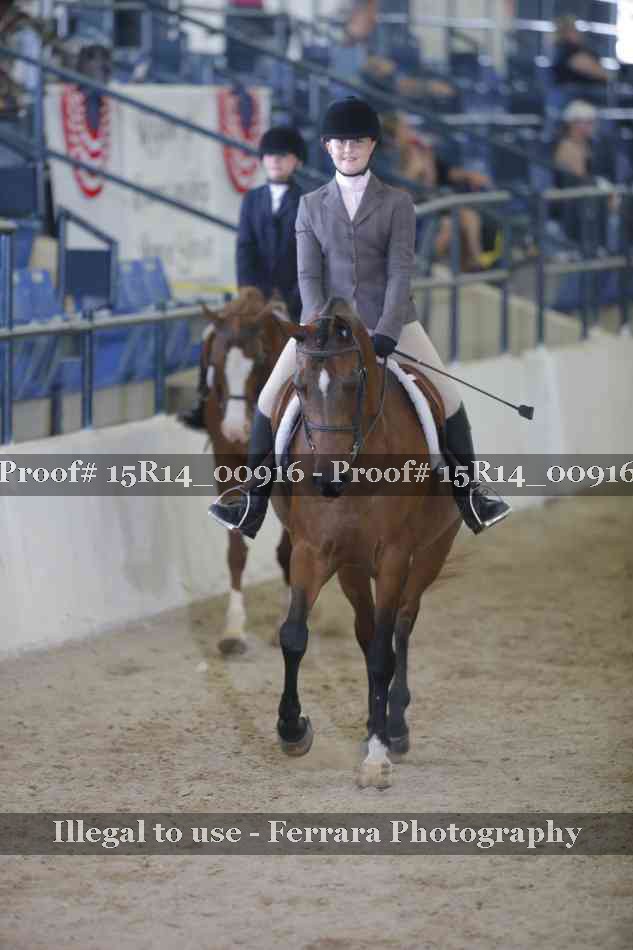 Proof 15R14_00916