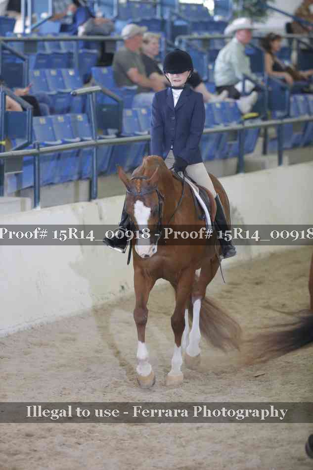 Proof 15R14_00918