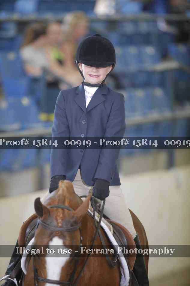 Proof 15R14_00919