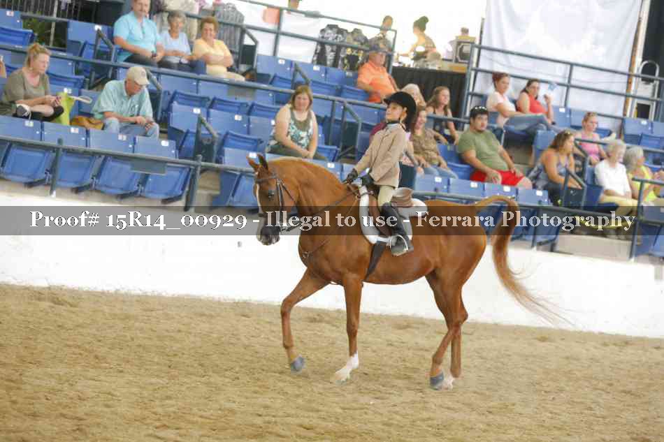 Proof 15R14_00929