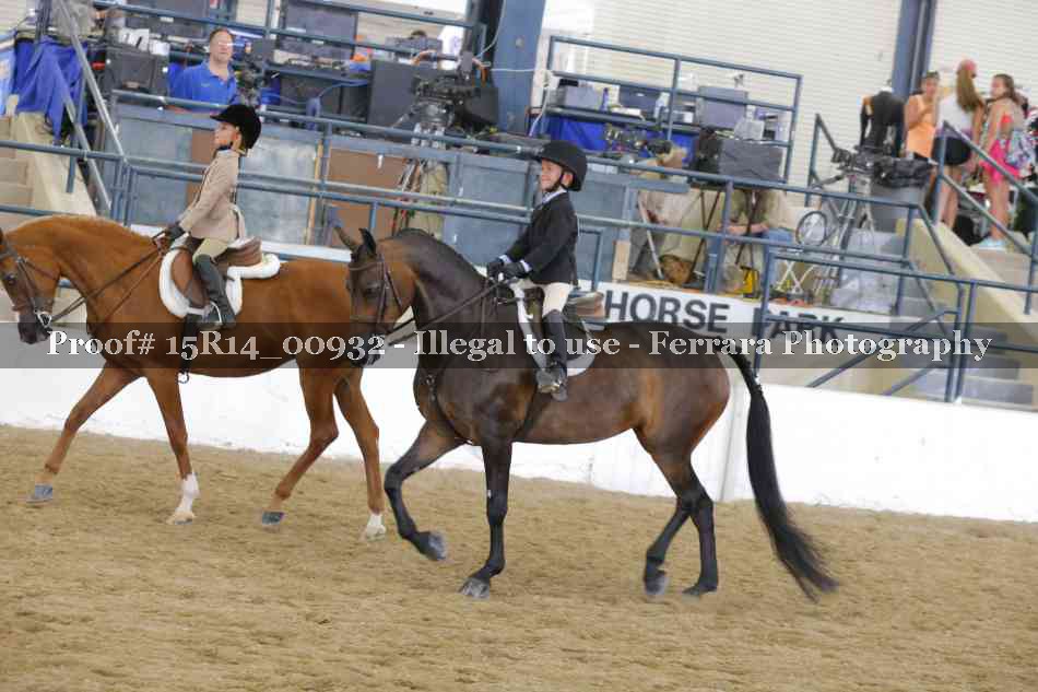 Proof 15R14_00932
