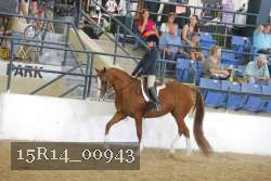 15R14_00943 proof