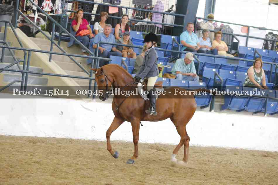 Proof 15R14_00945
