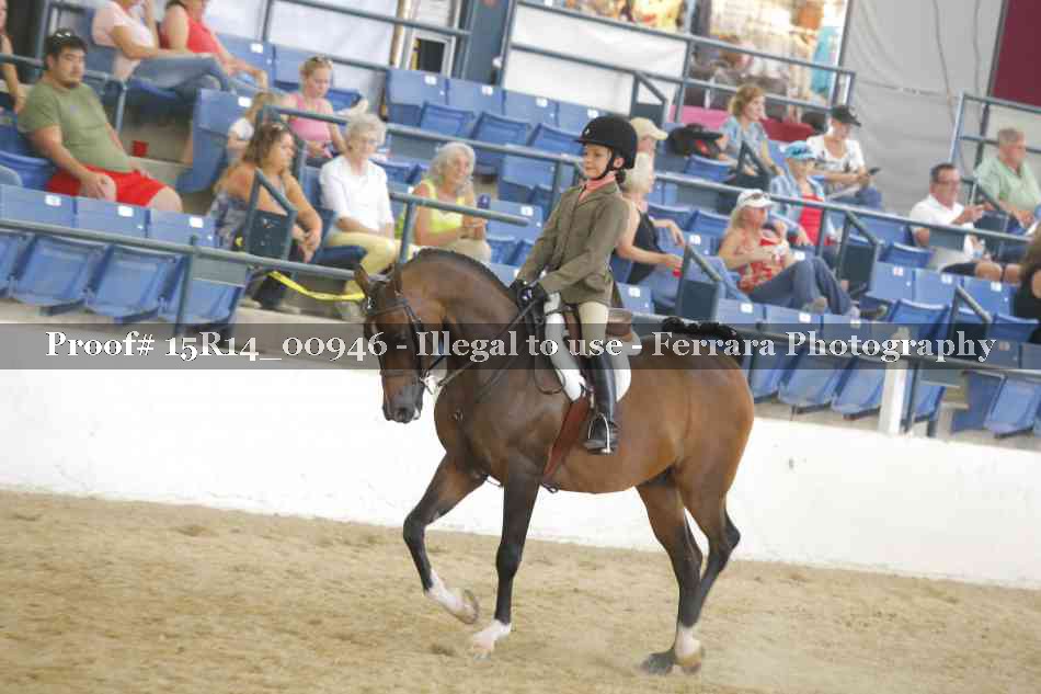 Proof 15R14_00946